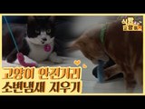 고양이 안전거리 & 소변 냄새 지우는 효소 제거제 [식빵굽는 고양이 시즌2] 27회