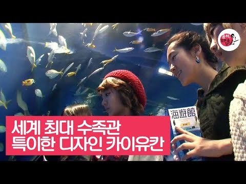 특이한 디자인의 세계 최대 수족관, 카이유칸 [윤하, 일본을 담다] 6회