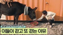 상민 씨와 아이들이 거리를 걷고 또 걷는 이유는?