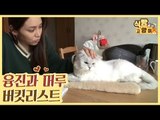 가수 융진과 머루의 버킷리스트 & 고양이 ASMR [식빵굽는 고양이 시즌2] 35회