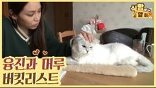 가수 융진과 머루의 버킷리스트 & 고양이 ASMR [식빵굽는 고양이 시즌2] 35회