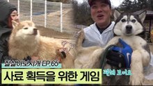 사료를 획득하기 위한 견주들의 즐거운 게임