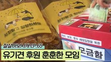 유기견 후원과 정모를 위해 모인 허스키와 견주들