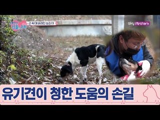 경계하지 않고 도움의 손길을 청하는 유기견