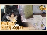 반려동물 전문가 수아 씨의 공부와 고양이 상담 [식빵굽는 고양이] 21회