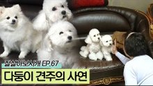 가수 강민주, 많은 견공들을 키우게 된 사연은?