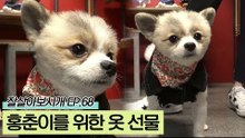 홍춘이의 스트레스 해소를 위한 춘자의 선물