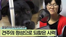 견주의 정성 덕분에 기적적으로 시력을 되찾은 깜지