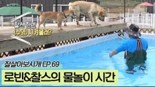 물놀이 시간, 물트리버 로빈과 달리 구경만 하는 찰스