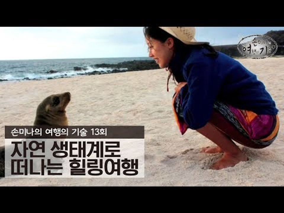 자연 생태계로 떠나는 힐링여행 [손미나의 여행의 기술] 13회