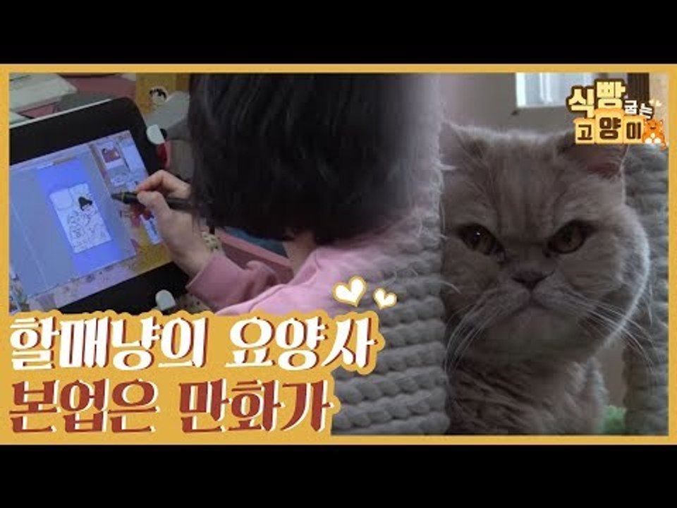 할매냥이들 요양사의 본업은 고양이 전문 만화가 [식빵굽는 고양이] 32회