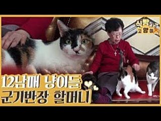 12남매 냥이들의 군기반장 츤데레(?) 할머니 집사 [식빵굽는 고양이 시즌2] 30회