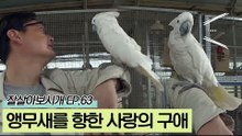 앵무새를 향한 상민 씨의 끝없는 사랑의 구애
