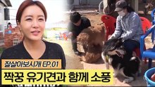 짝꿍 유기견과 함께 소풍! [잘살아보시개] 1회