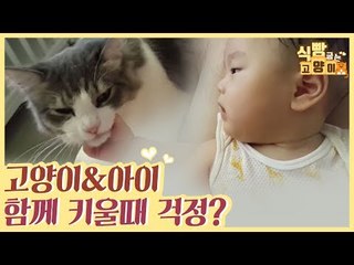 고양이와 아이를 함께 키울 때 걱정하는 고민은? [식빵굽는 고양이 시즌2] 32회