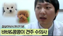 반려동물의 의사 선생님 이근서 수의사를 소개합니다