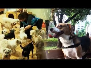 [12회 예고] 아이들의 마지막 메시지 [잘살아보시개]