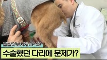 과거 수술했던 다리에 문제가 생겨 병원을 찾은 엄지