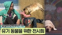전시회를 통해 유기 동물을 돕고 있는 화가 용아 씨