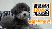 반려견 훈련법 I '하우스' 훈련 이렇게 해보세요!  I 김평호의 120초 犬기초훈련