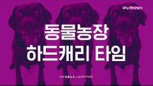 [티저] SBS 동물농장 × skyPetpark 제대로 만났다!
