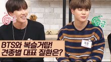 BTS와 함께하는 복슬거탑, 견종 별 대표 질환 총망라! [마이펫 상담소] 6회