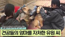 견공들의 엄마를 자처한 유원 씨의 따뜻한 마음