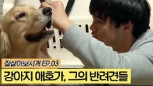 강아지 애호가 김영호 씨, 그의 반려견들 [잘살아보시개] 3회