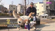 [60회 예고] 연남동 명물 삼부자 이야기