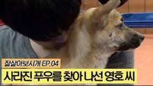 사라진 푸우를 찾아 나선 영호 씨 [잘살아보시개] 4회