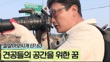 견공들만의 공간을 위해 노력 중인 상민 씨의 꿈