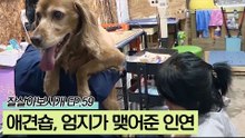 현진영&애견숍, 엄지가 맺어준 특별한 인연