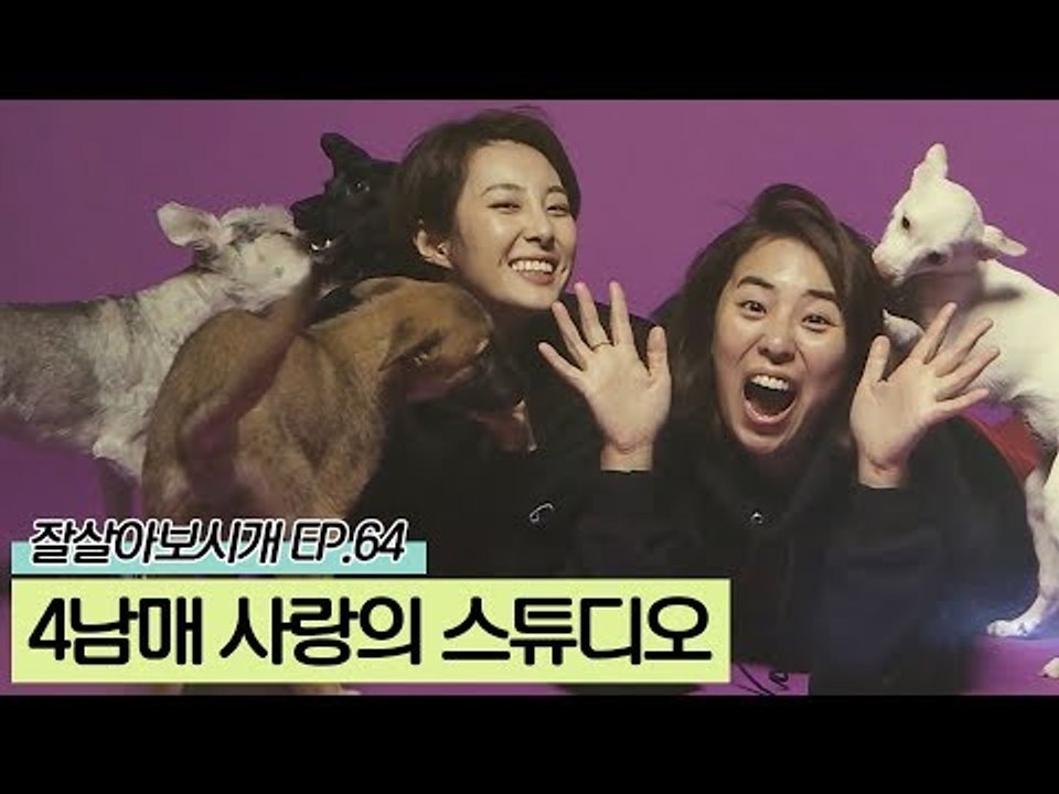 네 마리 견공들과 함께 하는 사랑의 스튜디오