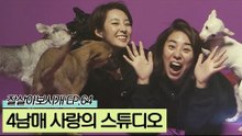네 마리 견공들과 함께 하는 사랑의 스튜디오