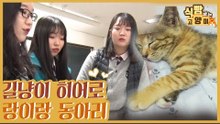 길고양이를 돌보는 고교생들의 랑이랑 동아리 [식빵굽는 고양이 시즌2] 36회