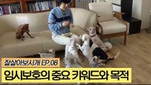 임시보호의 중요 키워드와 목적 [잘살아보시개] 8회