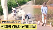 강이와 강일이 산책 교육 [잘살아보시개] 8회
