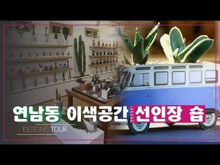 국내 최초! 연남동에 위치한 커스텀 선인장 숍 [디자인스 투어] 8회