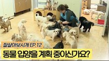 반려동물 입양을 계획 중이신가요? [잘살아보시개] 12회