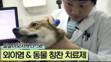 칭찬도 반려동물에게는 가장 큰 치료제