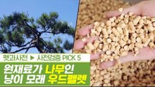 나무의 화려한 변신! 나무가 원재료인 우드 펠렛 [펫과사전] 3회