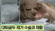 망가진 대퇴골두를 제거하는 수술과 재활치료