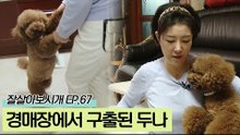 경매장에서 구출된 두나의 과거, 그리고 변화