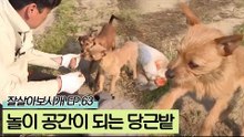 연히&누리&누리에겐 당근밭도 환상의 놀이 공간