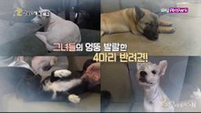 [64회 예고] 잭슨·재동·수내·수나! 4남매 사랑의 스튜디오