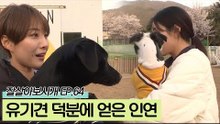 유기견 임시보호와 입양을 통해 얻은 소중한던 인연
