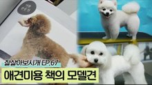 애견미용 책의 모델인 견공들 모습에 뿌듯한 민주씨