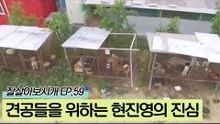 10마리 견공들을 위해 개인 구조를 결심했던 현진영