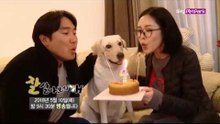 [66회 예고] 채리나♥박용근 부부와 천방지축 영순이