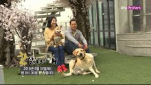 [69회 예고] 수호천사 헌혈견과 로빈 맘